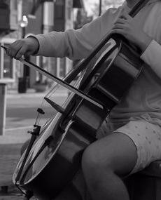 a b&w cello